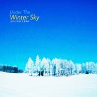 Under The Winter Sky