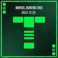 DubVibe (HU)