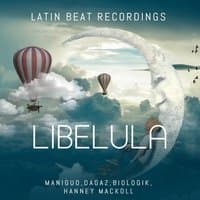 Libelula