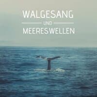 Walgesang und Meereswellen: Naturgeräusche für tiefe Entspannung