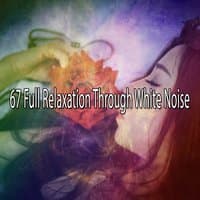 67 Full Relaxation Through White Noise