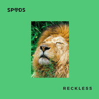 Reckless