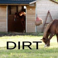 Dirt