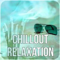 Chillout Relaxation - Pure Mind and Body, Wellness Music Spa, Harmony of Senses