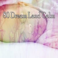 80 Dream Land Calm