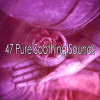 47 Pure Soothing Sounds