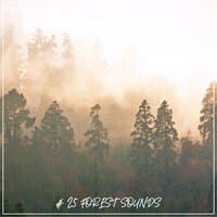 # 25 Forest Sounds