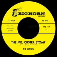 Mr Custer Stomp / Firewater