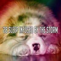 28 Sleep Infused by the Storm