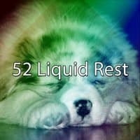 52 Liquid Rest