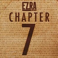 Chapter 7