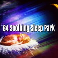 64 Soothing Sleep Park