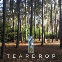 Teardrop