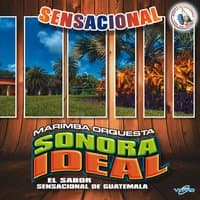 Sensacional. Música de Guatemala para los Latinos