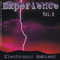 Experience - Electronic Ambient Vol. 2 / To 119 Bpm