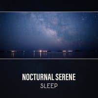 Nocturnal Serene: Sleep