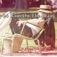 24 Rain on the Brain