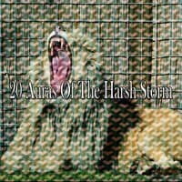 20 Auras of the Harsh Storm