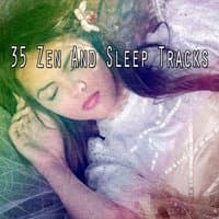 35 Zen And Sleep Tracks