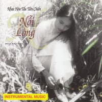 Nhạc hòa tấu tiền chiến - Nỗi lòng (Hải Âu Music - Hòa tấu Vol 48)