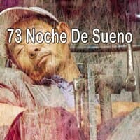 73 Noche De Sueno