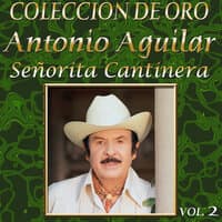 Colección de Oro: Banda – Vol. 2, Señorita Cantinera