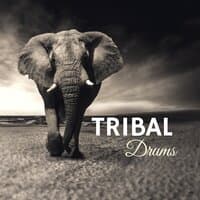 Tribal Drums - Healing African Spiritual Drumming, Traditional Rhythms from Africa