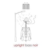 Upright Bass Noir