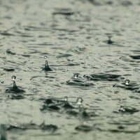 20 Blissful, Loopable, Gentle Rain Sounds