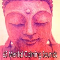 65 Mental Calming Sounds