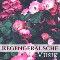 Regengeräusche Musik - Donner und Regen, Regengeräusche als Einschlafhilfe