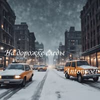 На дорожке следы