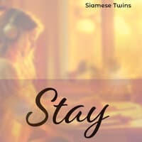 Stay