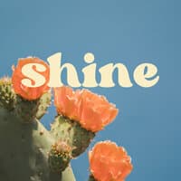 Shine