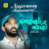 Nenjoramay Minnunnoree