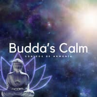 Budda's Calm