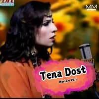 Tena Dost