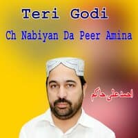 Teri Godi Ch Nabiyan Da Peer Amina