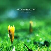 Clear-minded New Age piano for a relaxing break