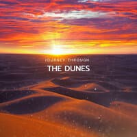 Journey Through the Dunes