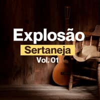 Explosão Sertaneja, Vol. 01