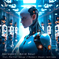 Acid Soul, Incl. Ferhat Saygi, Robert Moon Remixes