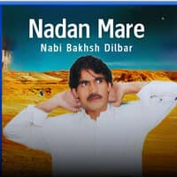 Nadan Mare