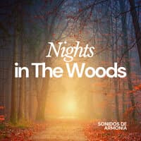 Nights In The Woods