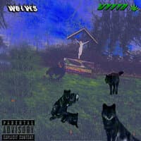 Wolves