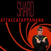 Attaccatappanana