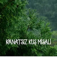 Kanatsız Kuş Misali