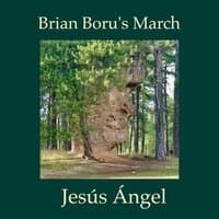 Brian Boru's March