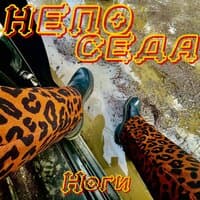 Ноги