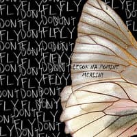 Don't Fly